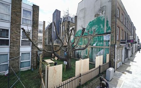 Plastic-covered mural of a tree in London by Banksy fenced off following suspected vandalism