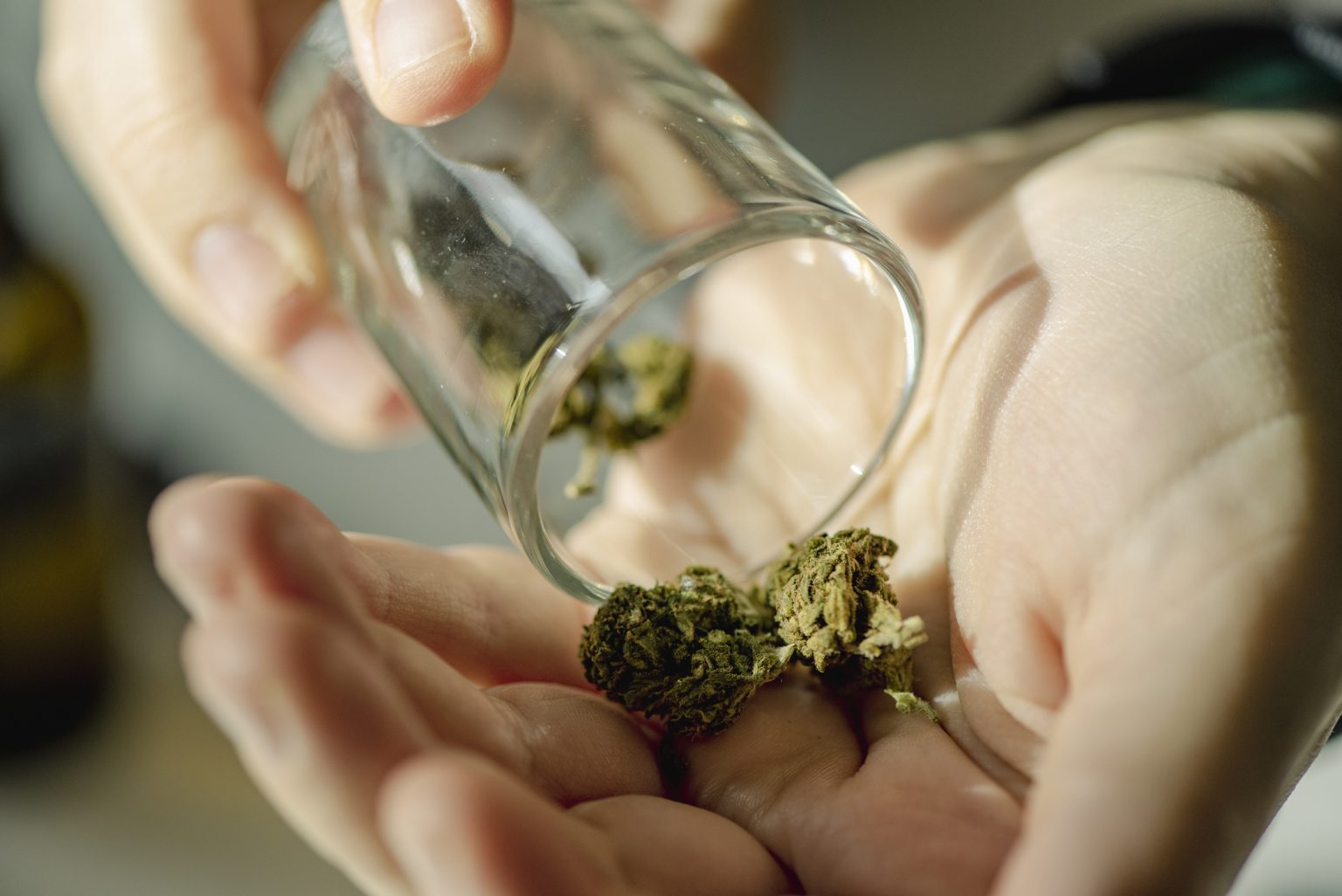 US Cannabis Industry Reaches Record Heights