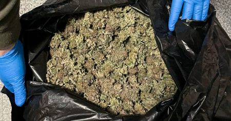 Federal investigation reveals marijuana grow operation in Maine, part of trend across 20 states