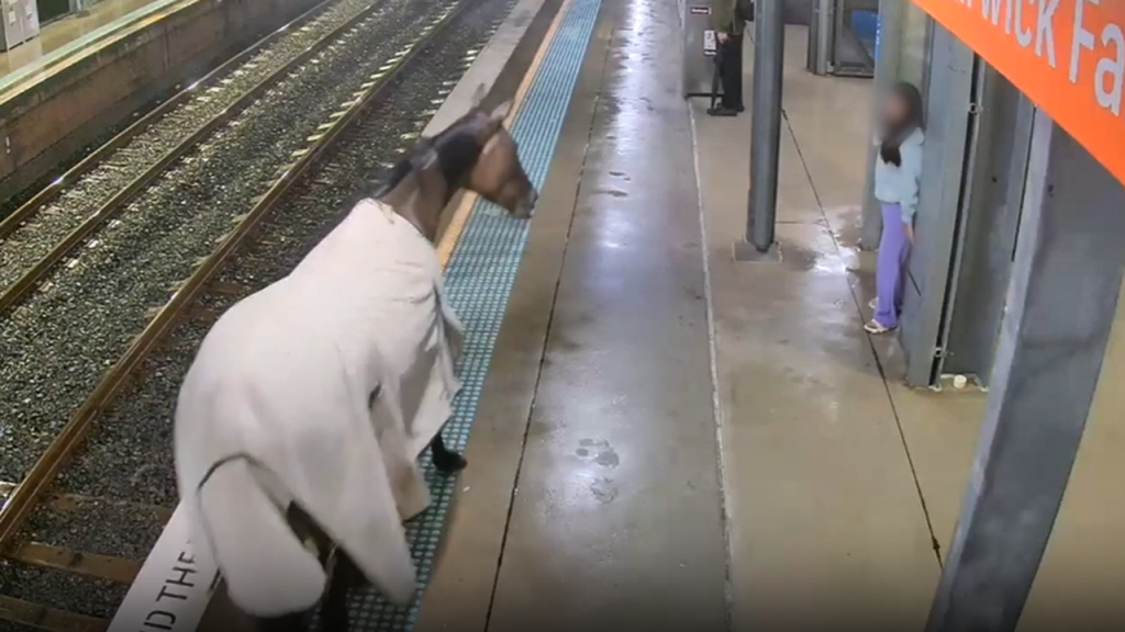 Video captures horse rampaging on train platform