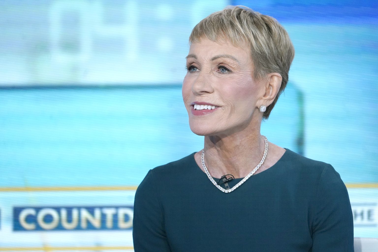 Barbara Corcoran from Shark Tank Shares Details of Getting Two Facelifts