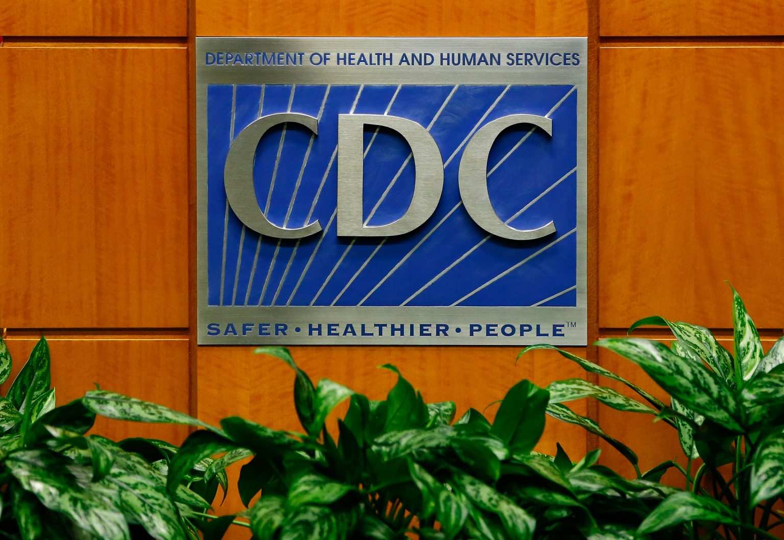 Recent US Case Prompts CDC Health Alert for Bird Flu Infection