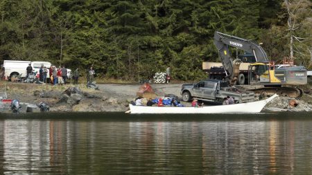 First attempt to rescue orphaned orca calf from Canadian lagoon ends in disappointment