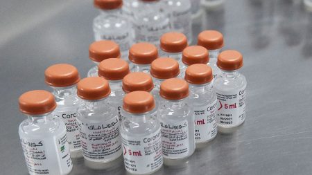 Efforts to finalize global pandemic treaty face challenges as nations struggle