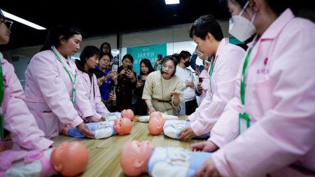 Chinese health commission investigates the legality of surrogacy claims in China