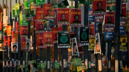 Understanding South Africa’s upcoming election: Is the ruling party of 30 years at risk of being replaced?