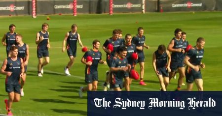 Crows face months without key defender due to broken arm