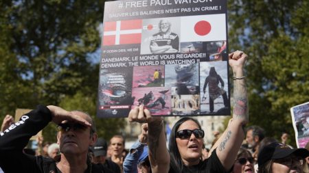 Paul Watson, activist, seeks political asylum in France to avoid potential extradition to Japan