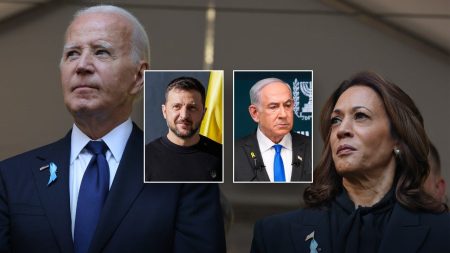 Experts say Biden-Harris administration’s approach to conflicts in Ukraine and Israel shows significant differences