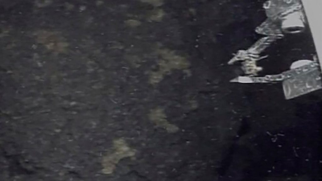 A Small Amount of Nuclear Fuel Extracted from Damaged Japanese Plant, Progressing Cleanup Efforts