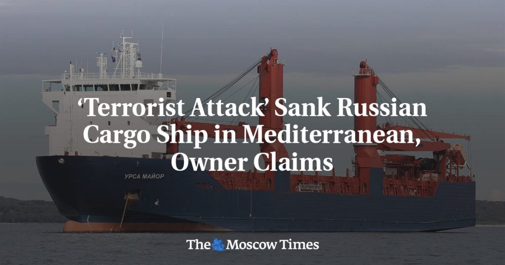 Owner Claims Russian Cargo Ship in Mediterranean Sunk in Terrorist Attack