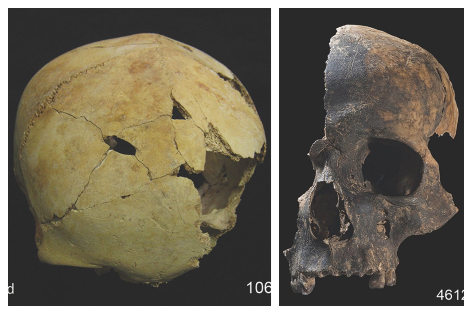 rewrite this title Bronze Age Cannibalism ‘Shines a Light on a Dark Side of Human Behavior’