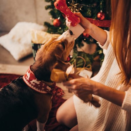 rewrite this title The Best Gift Ideas for First-Time Pet Parents & Their Fur Baby