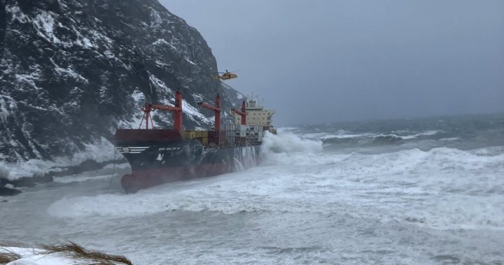 rewrite this title Cargo ship crew rescued after running aground on Newfoundland coast