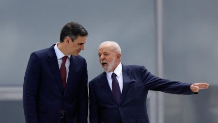rewrite this title in english Sánchez, Lula, Petro y Boric se alían “en defensa de la democracia” y “contra la desinformación”