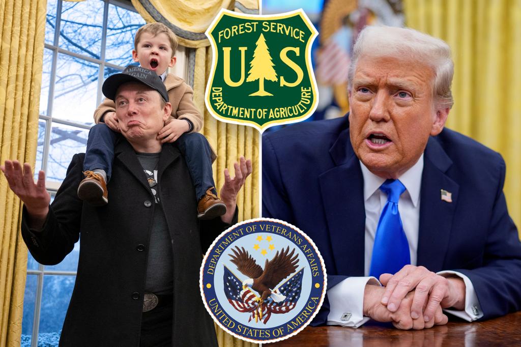 rewrite this title Thousands fired in US government as Trump, Musk purge federal workers