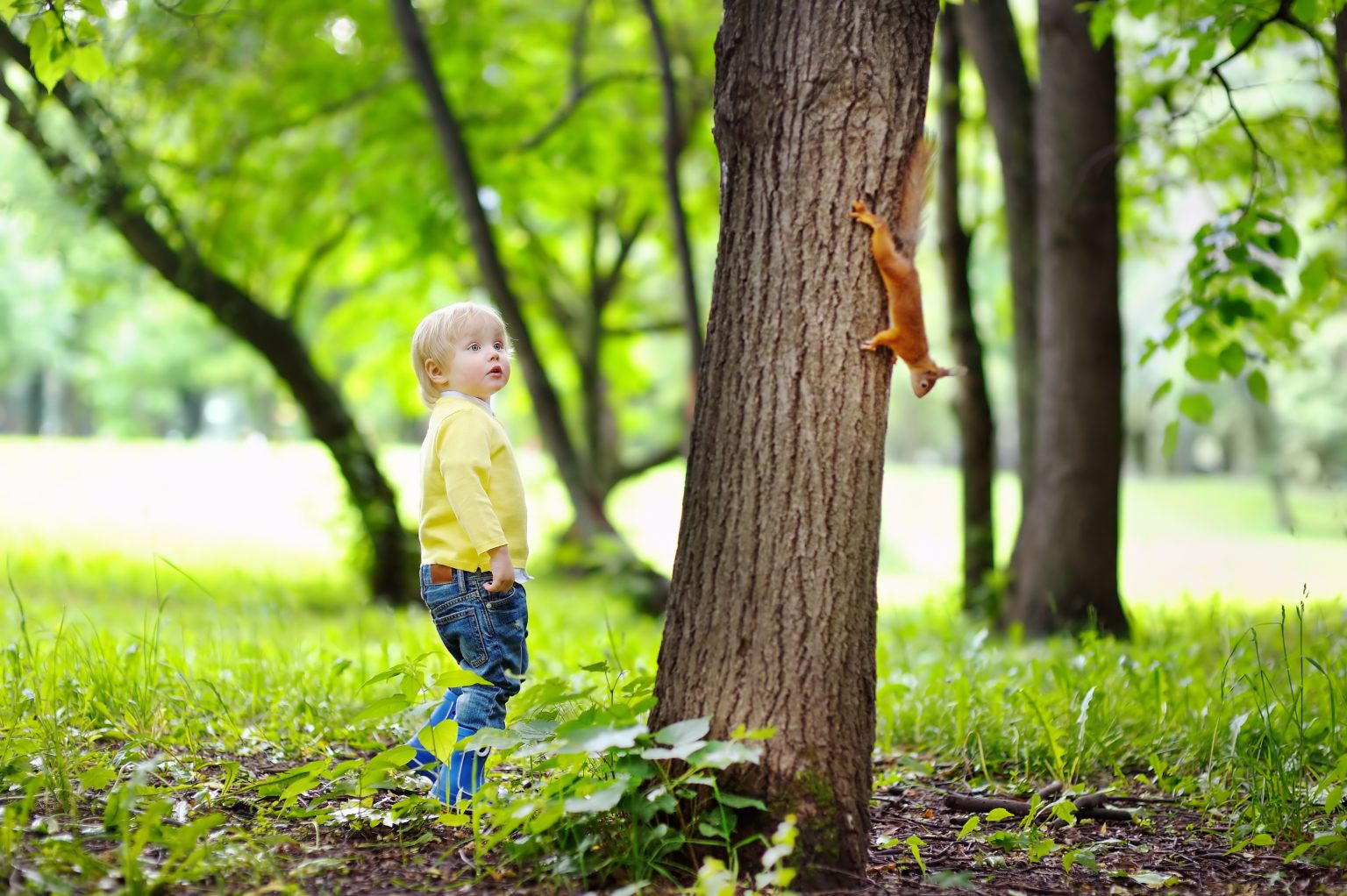 rewrite this title Toddler Obsessed With Seeing Squirrels, Then Grandparents Take It Too Far