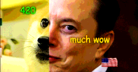 rewrite this title How Elon Musk Uses Internet Slang to Marshal His Army of Online Fans