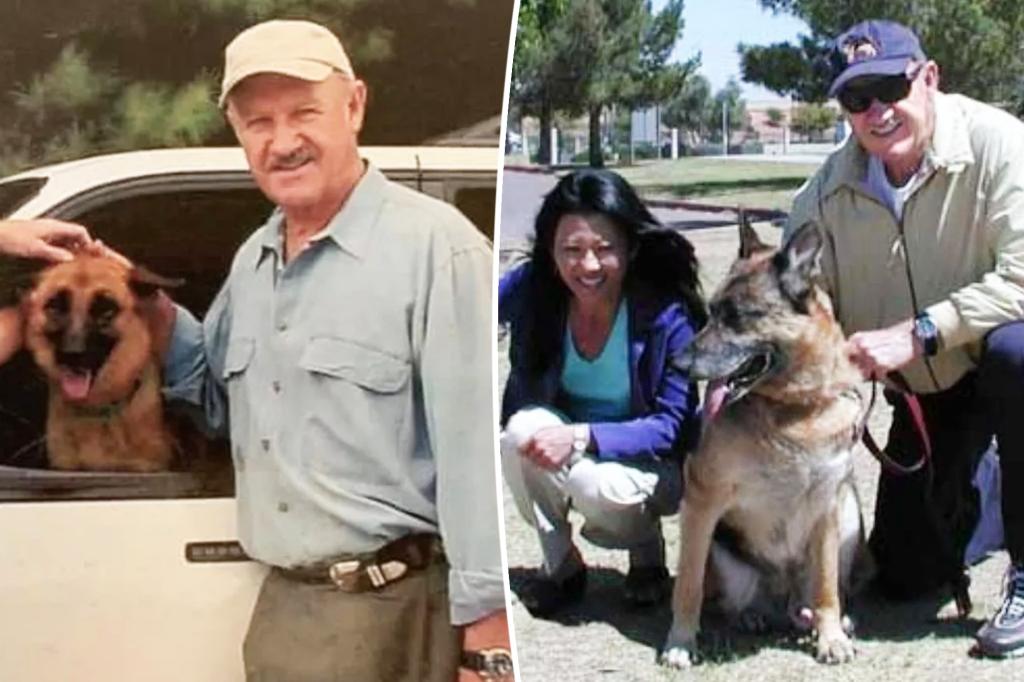 rewrite this title
Gene Hackman’s dog likely died of starvation and dehydration, showed partial mummification, report says