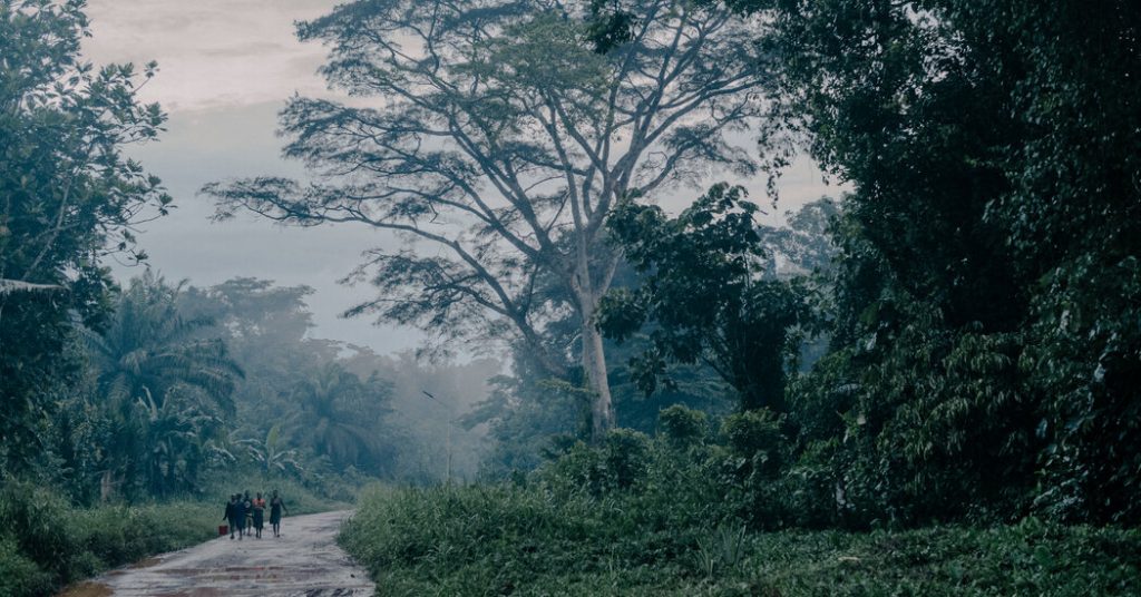 rewrite this title Unknown Illness Kills Dozens in Congo as Experts Clash on Cause