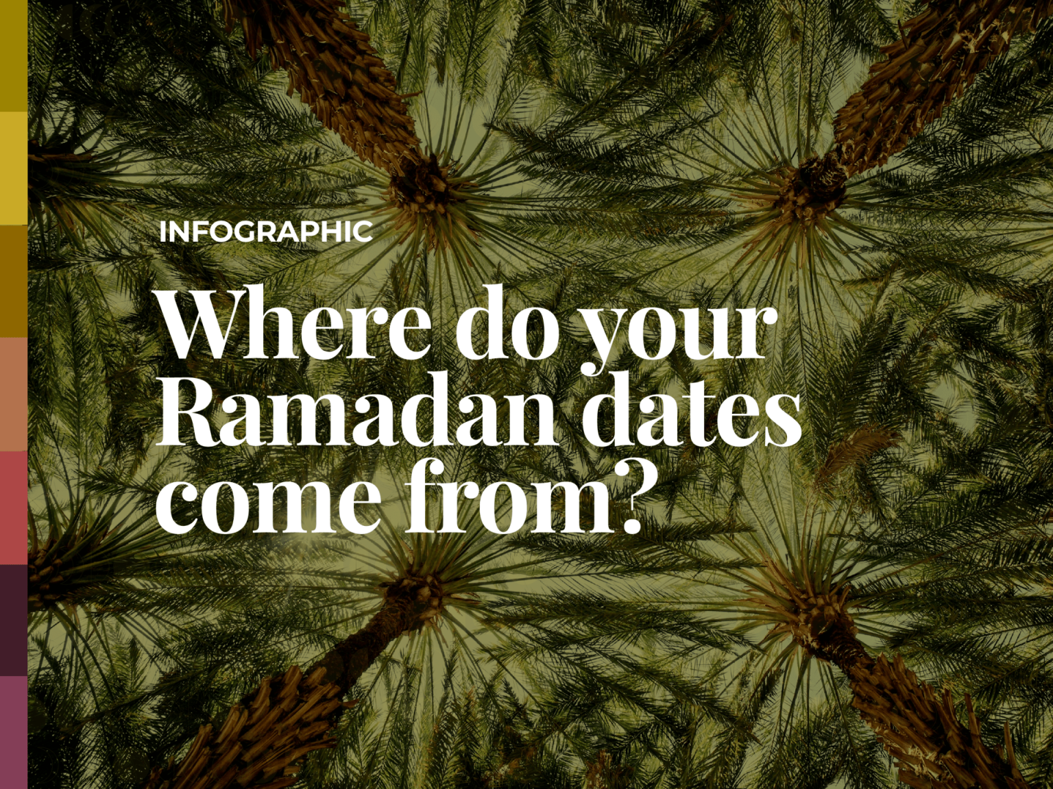 rewrite this title Ramadan 2025: Which countries grow the most dates?